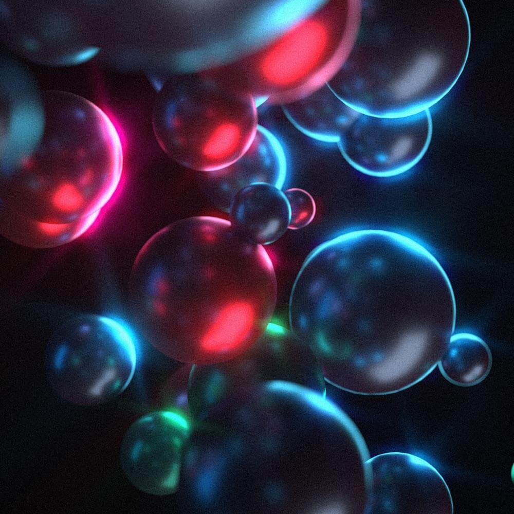 Study 4